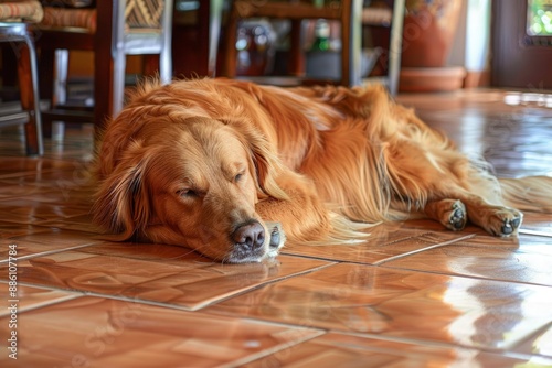 a large brown dog laying on top of a tiled floor