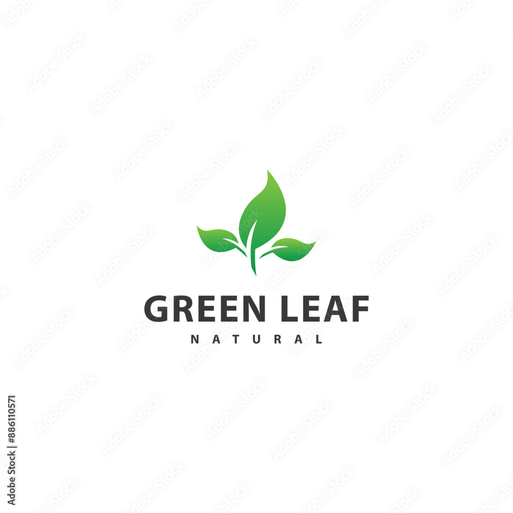 Abstract leaf logo vector illustration