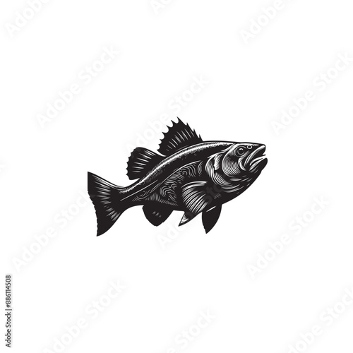 Atlantic Cod Fish Sketch Vector silhouette