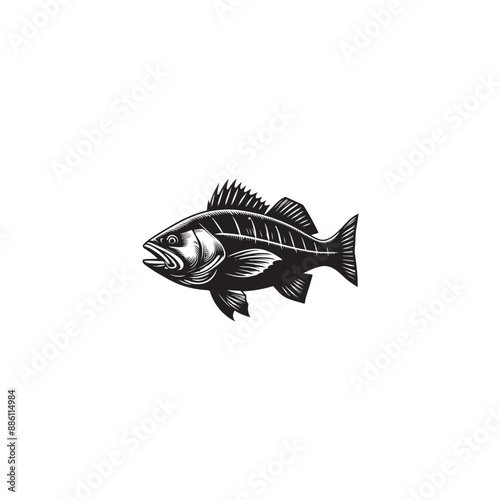 Atlantic Cod Fish Sketch Vector silhouette
