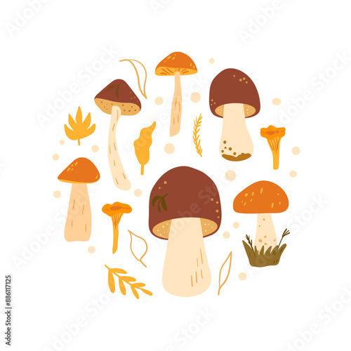 Mushrooms circular emblem isolated on white background. Vector hand drawn flat illustration