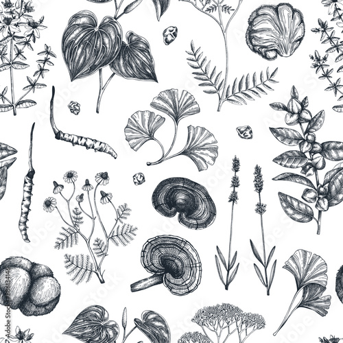 Mental health herbs and mushrooms background. Hand-drawn vector illustrations. Healing plants seamless pattern. Natural remedies, medicinal mushroom sketches