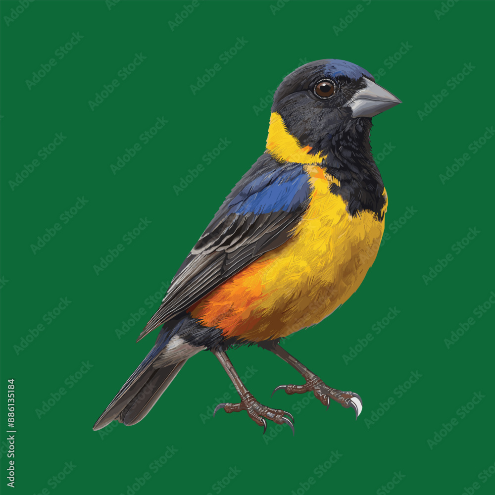 Fototapeta premium a bird with a yellow and blue body and a blue and yellow body
