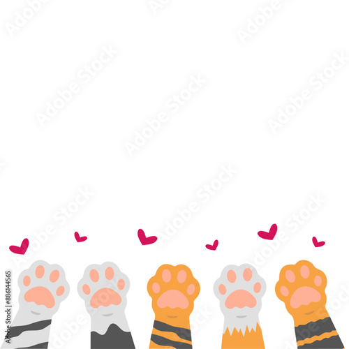 Cat Paws Illustration