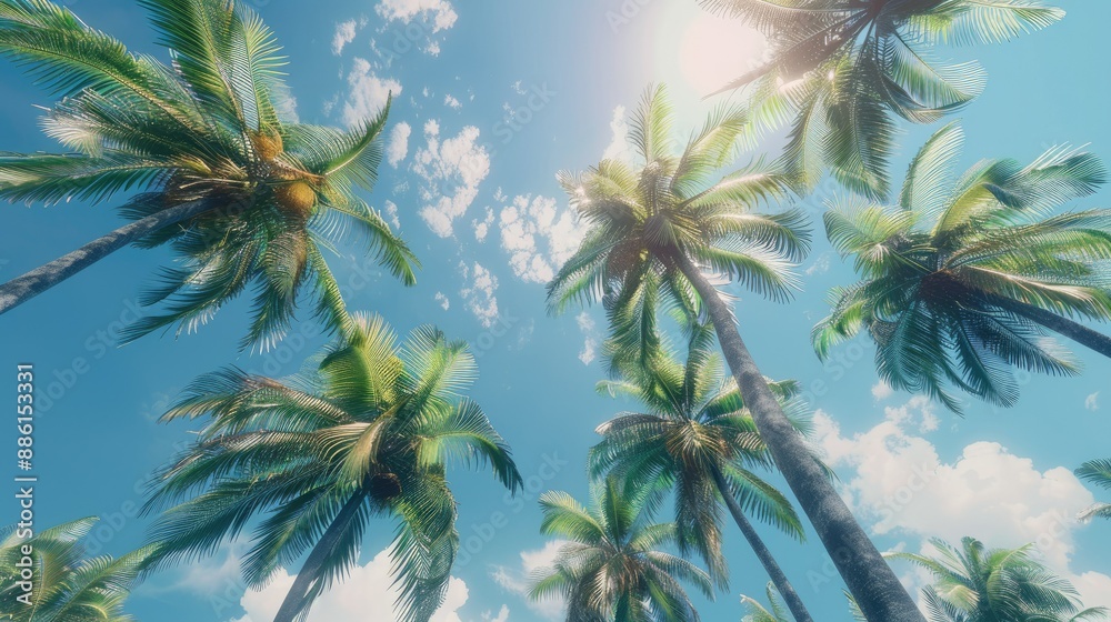 Fototapeta premium Upward view of palm trees swaying in the breeze, capturing the essence of a sunny day