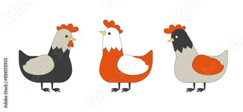 Farm chickens group 2D linear cartoon characters set. Poultry husbandry habitats isolated line vector animals white background. Agricultural industry color flat spot illustrations collection