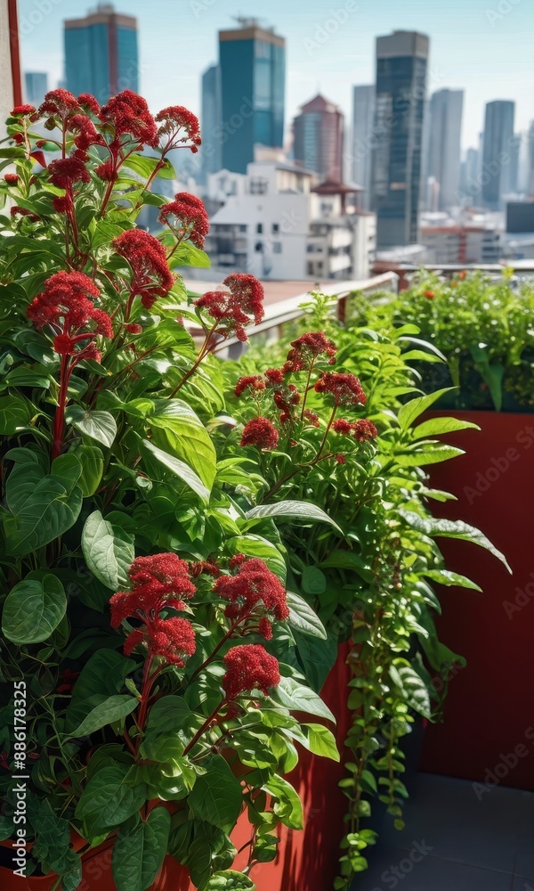 Red Flowers on a Balcony with City Skyline in the Background. Red Flowers on a Balcony with City Skyline in the Background.