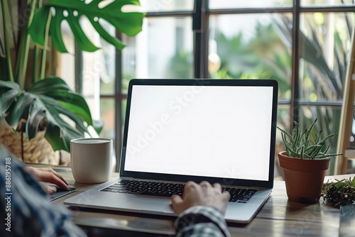 Man's hands typing on laptop computer in a room with indoor green flowers. White blank mock up empty screen display for business websites or services ads. Mock up. Copy space #886195788