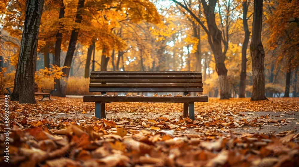 Autumnal Serenity: A Bench in a Golden Forest Autumnal Serenity: A Bench in a Golden Forest