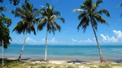 Picturesque view of the beach, blue sea, blue sky, coconut palms. photo