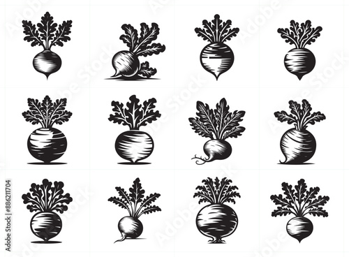 Tunip vegetable silhouette vector Illustration Set