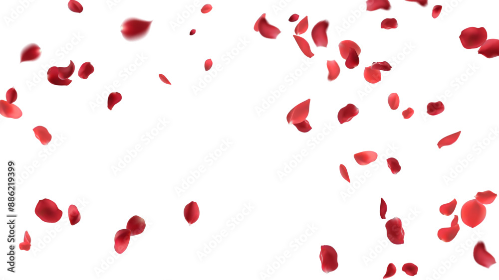 Rose petals or sakura flying petals, romantic background with realistic pink cherry flower petals flow or falling motion. Love, romance, floral spring season