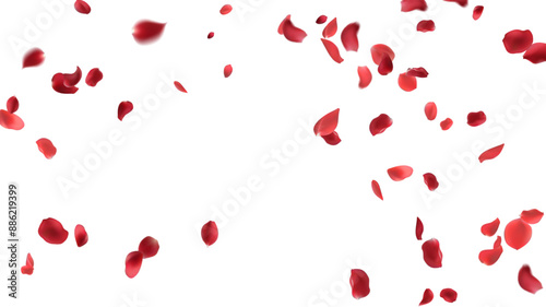Rose petals or sakura flying petals, romantic background with realistic pink cherry flower petals flow or falling motion. Love, romance, floral spring season