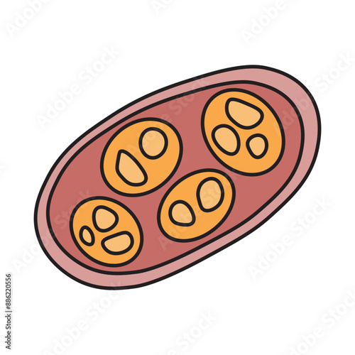 Coccidia photo