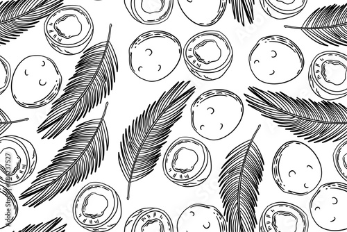 seamless pattern coconut vector drawing