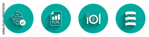 Set Intestines, Diet plan, Vegan food diet and Sports nutrition proteine icon with long shadow. Vector