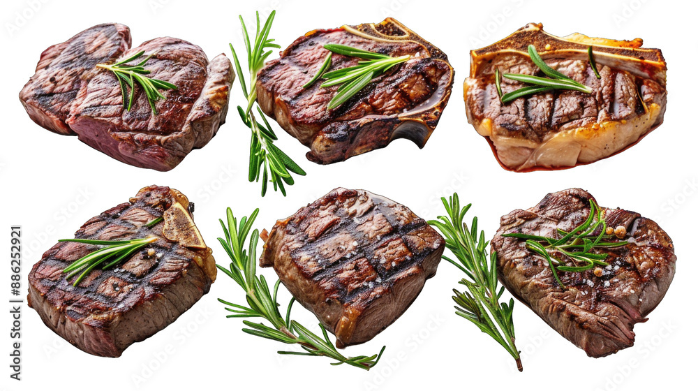 Grilled beef steaks in various kinds, collection transparent background or PNG file. Grilled beef steaks in various kinds, collection transparent background or PNG file.
