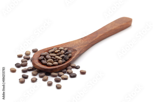 Front view of a wooden spoon filled with dry Organic cluster bean  (Cyamopsis tetragonoloba) seeds. Isolated on a white background. photo