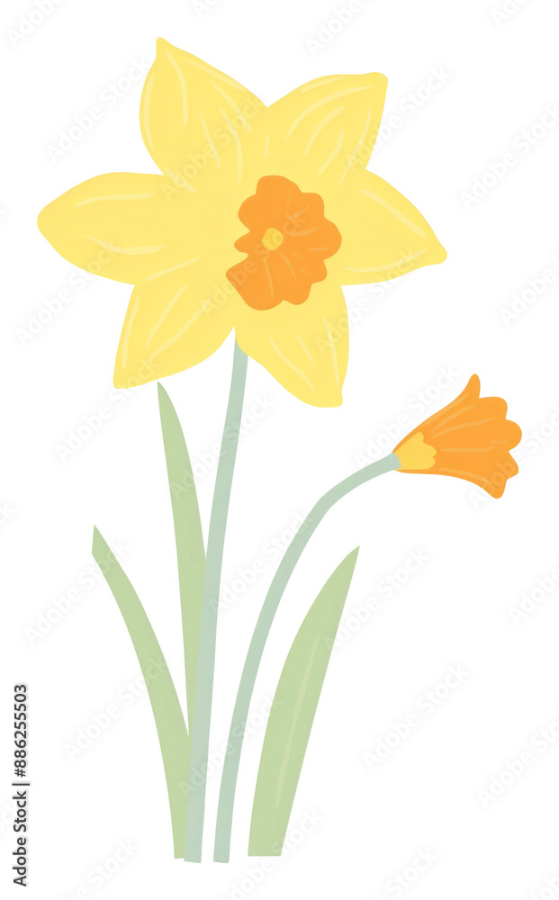Naklejka premium PNG Daffodil outdoors flower nature.