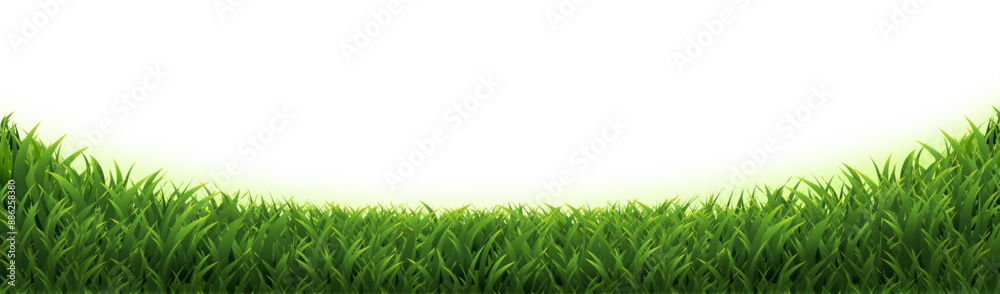 Fototapeta premium Green Grass With Isolated White Background
