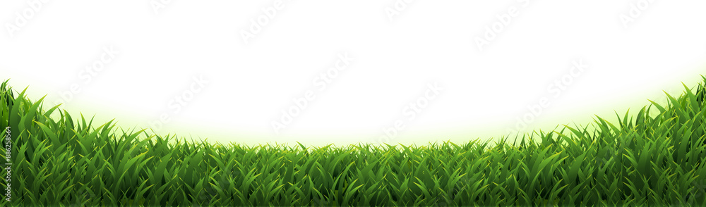 Fototapeta premium Green Grass With Isolated White Background