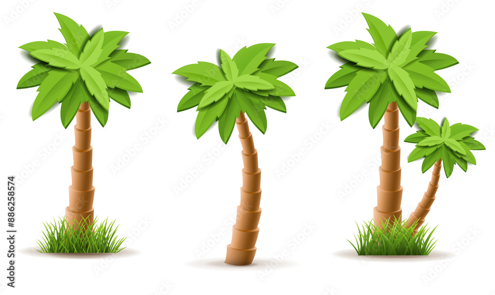 Obraz premium Palm Tree Set Isolated White Background