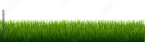 Green Grass And Isolated White Background