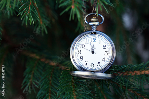 Watches On Fir Tree