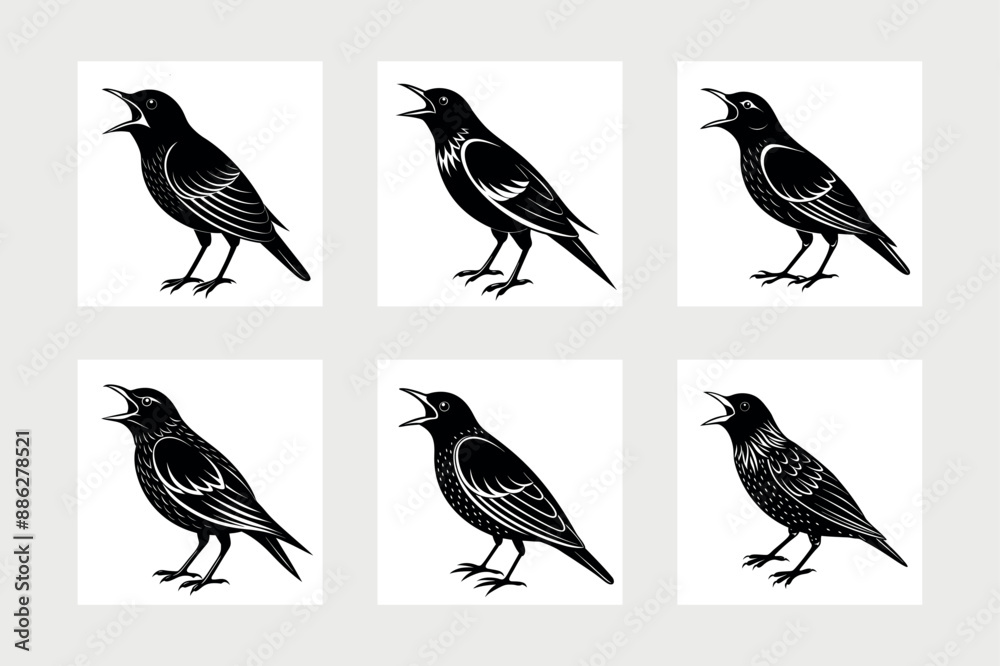 Fototapeta premium European starling bird icon vector illustration. 