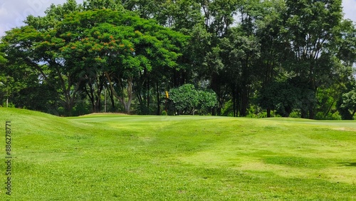 Smooth grassy area of a golf course, trees in the background