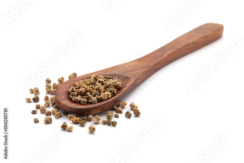 Front view of a wooden spoon filled with dry Organic Spinach (Spinacia oleracea) seeds. Isolated on a white background. photo