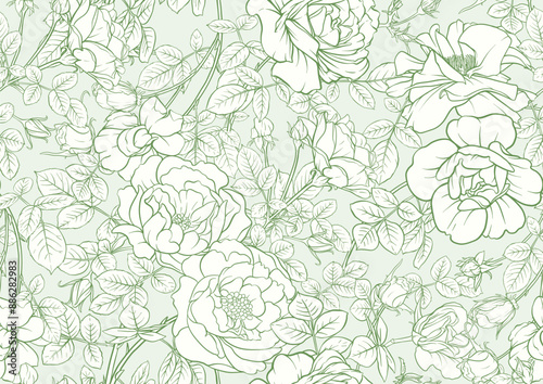 Rose flowers, Seamless pattern, background. Vector illustration. Outline hand drawing.