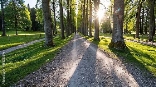 Sunbeams through the Trees on a Gravel Road, Leading Lines, Forest Path in a Park at Sunset © Andrei