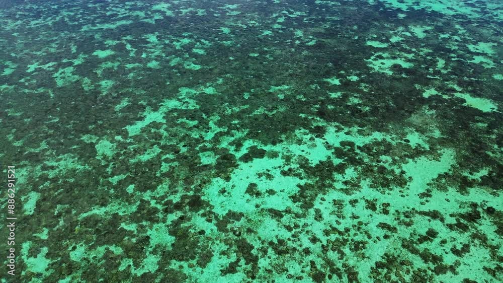 Drone revealing a vast and shallow coral reef with clouds reflecting on the calm water from the horizon Drone revealing a vast and shallow coral reef with clouds reflecting on the calm water from the horizon