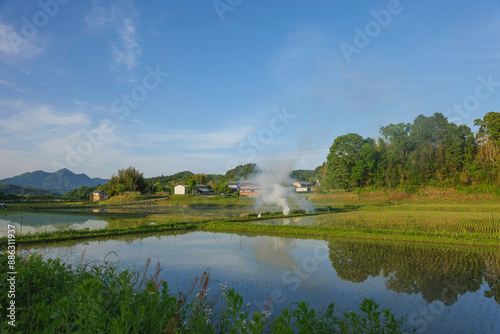 Rice paddies after rice planting, Japanese farming village in summer