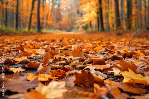 A path meanders through a dense forest, covered in fallen leaves creating a crunchy carpet underfoot, Crisp, crunching sounds underfoot in a leaf-strewn path