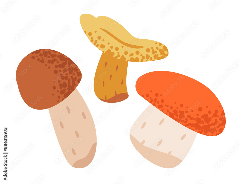 Edible mushrooms set isolated on white background. Flat vector illustration Edible mushrooms set isolated on white background. Flat vector illustration