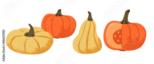 Pumpkins of different shapes isolated on a white background. Pumpkin set. Flat vector illustration