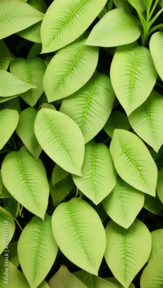 Obraz premium Green Plant Flower Leaves Illustration For Background or Pattern