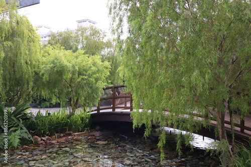 wooden bridge