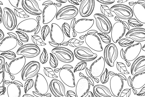 seamless pattern mango vector drawing