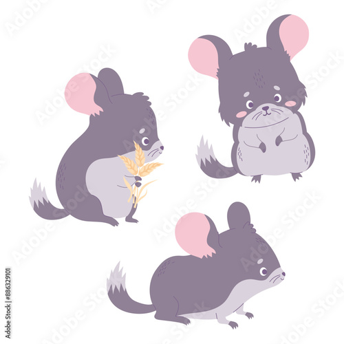 Cute chinchilla collection. Isolated funny cartoon animal rodent. Vector illustration