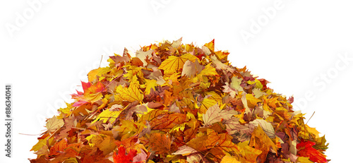Pile of autumn colored leaves isolated on transparent background. Colorful foliage of maple leaves in the fall season. 3D illustration