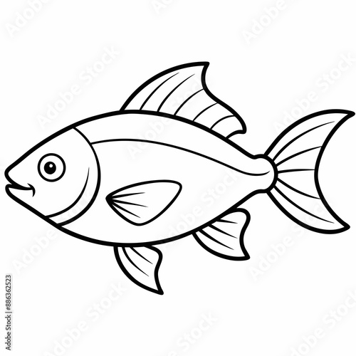 fish on a white background