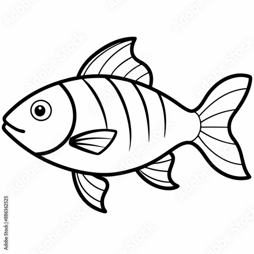 illustration of a fish