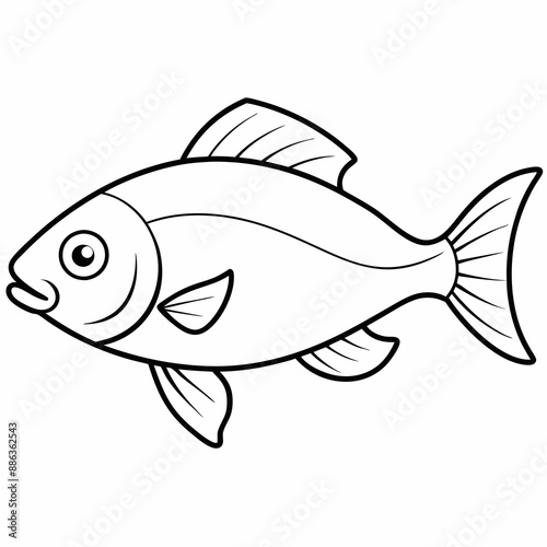 fish on white background