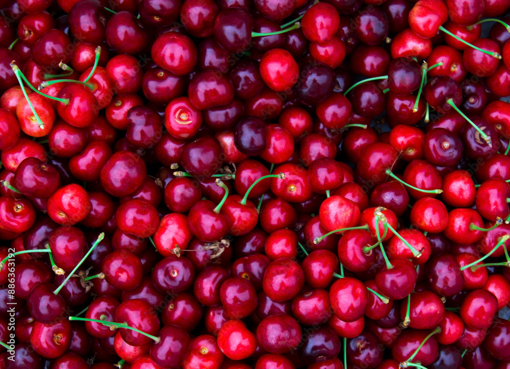 Ripe maroon cherries background.Top view. Ripe maroon cherries background.Top view.