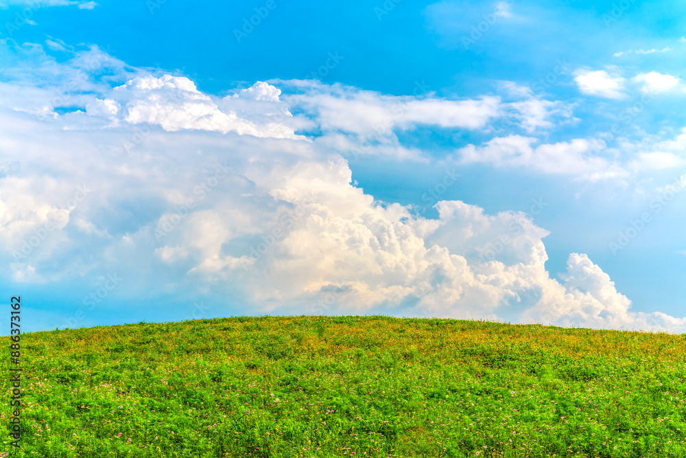 Obraz premium 푸른언덕