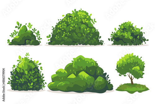 Set of decorative vector bush illustrations on a white background. Green flat bushes on white background. Green grass vector set. Shrub bush shrubbery tree simple abstract. Eco element, foliage