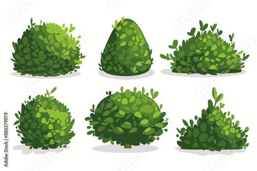 Set of decorative vector bush illustrations on a white background. Green flat bushes on white background. Green grass vector set. Shrub bush shrubbery tree simple abstract. Eco element, foliage